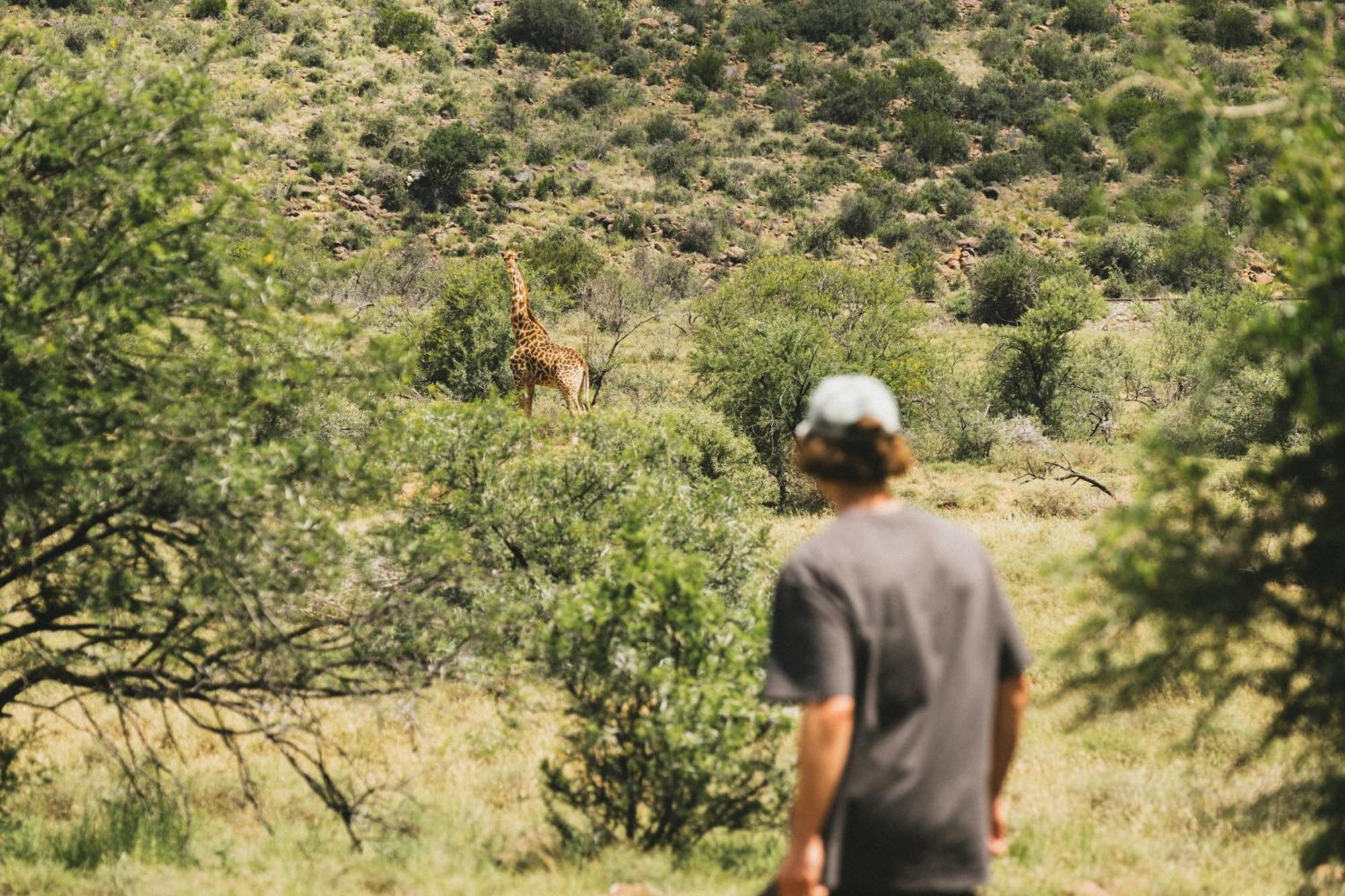 Buccara Wildlife Reserve Graaff Reinet Exterior photo