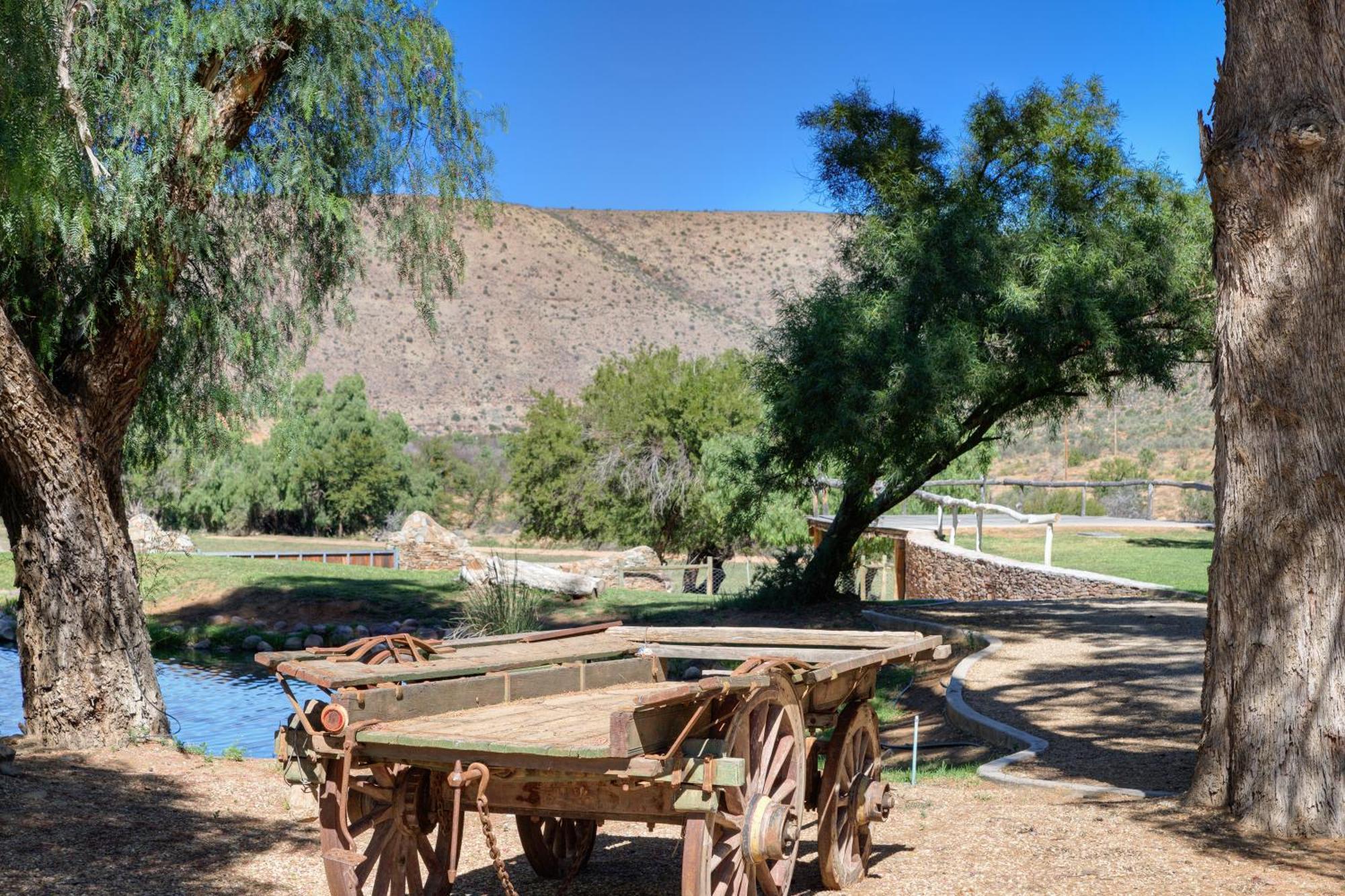 Buccara Wildlife Reserve Graaff Reinet Exterior photo